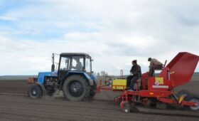 В Красноярском крае гранты до 8 миллионов рублей получат 14 начинающих фермеров